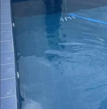 アパート Ground Floor 2 Bedroom With Pool リスボン
